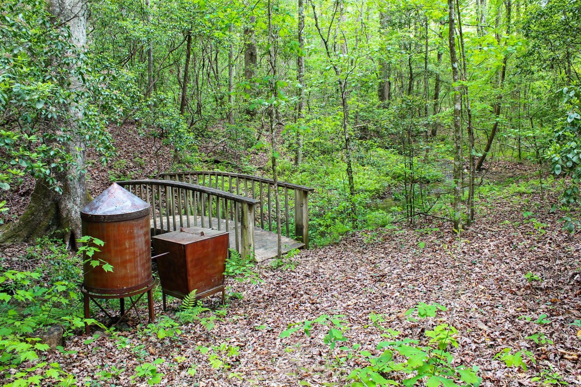 Sautee Nacoochee Mtn Paradise With Spacious Deck! Εξωτερικό φωτογραφία