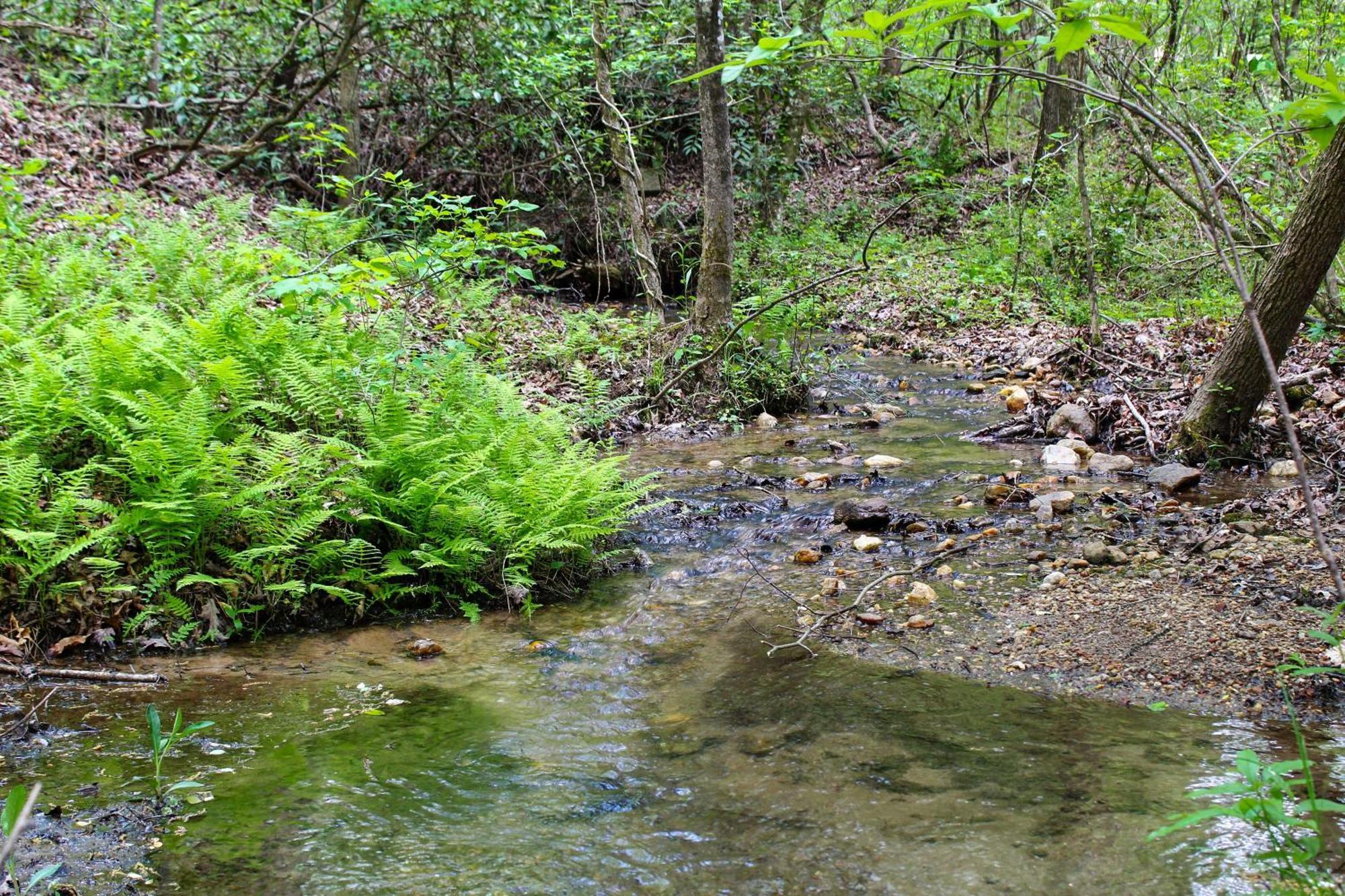 Sautee Nacoochee Mtn Paradise With Spacious Deck! Εξωτερικό φωτογραφία